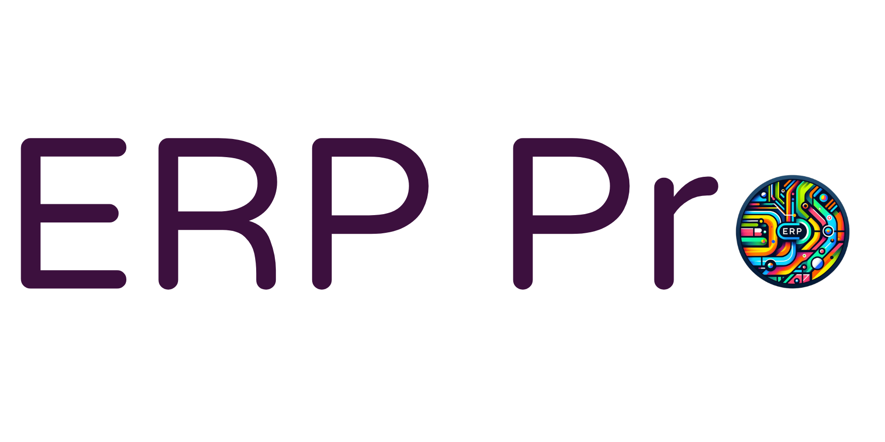 ERP Pro Logo