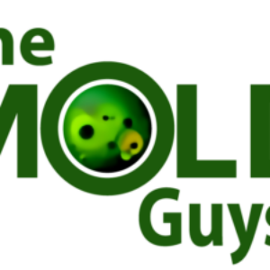 Profile photo of The Mold